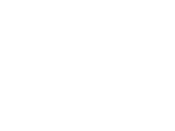 Sponsor